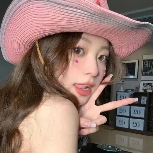 动画纪录